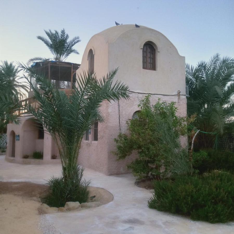 Appartement Siwa Spot à Siwa Oasis Extérieur photo